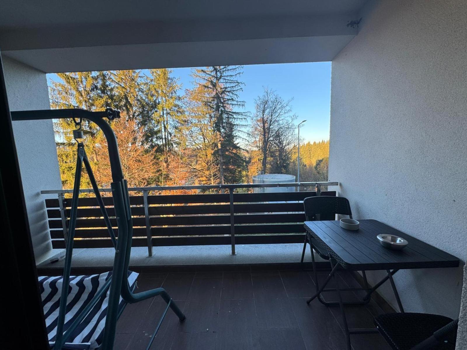 Apartment "Mountain Relax" Poiana Brasov Esterno foto