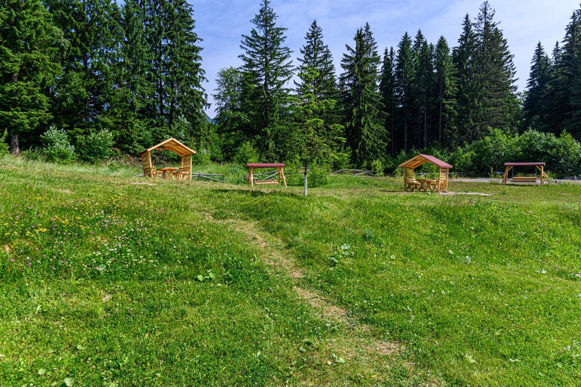 Apartment "Mountain Relax" Poiana Brasov Esterno foto