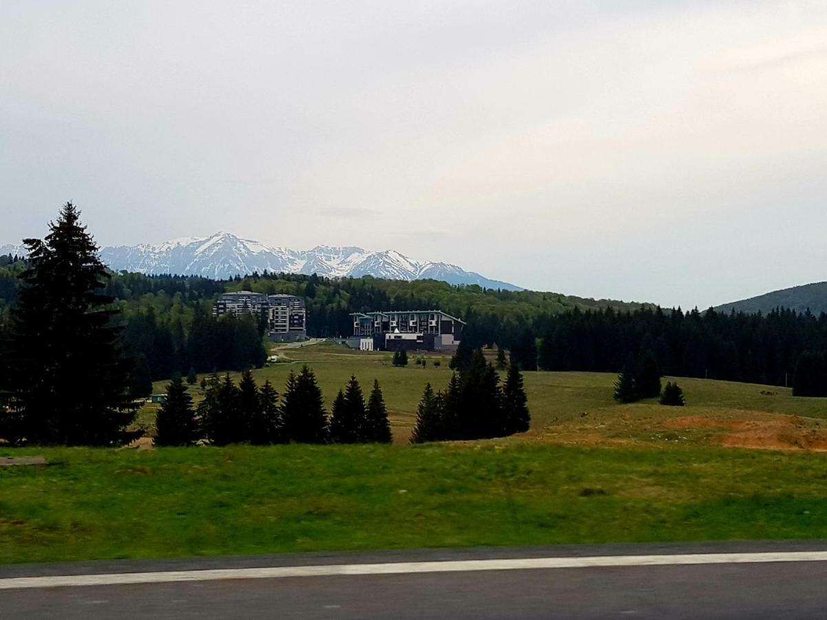 Apartment "Mountain Relax" Poiana Brasov Esterno foto